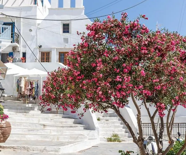 Pandoras - Old Town Naxos شقة